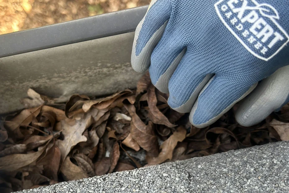 Gutter Cleaning Marion AR